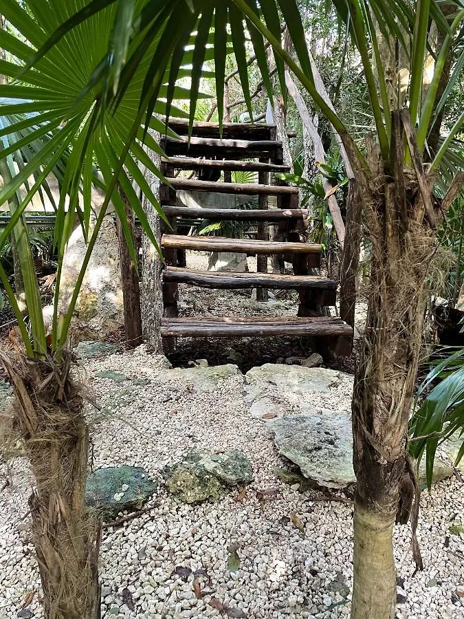 Hotel Roc Jungle Tulum México