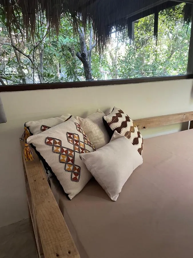 ****  Roc Jungle Tulum Hotel Mexico