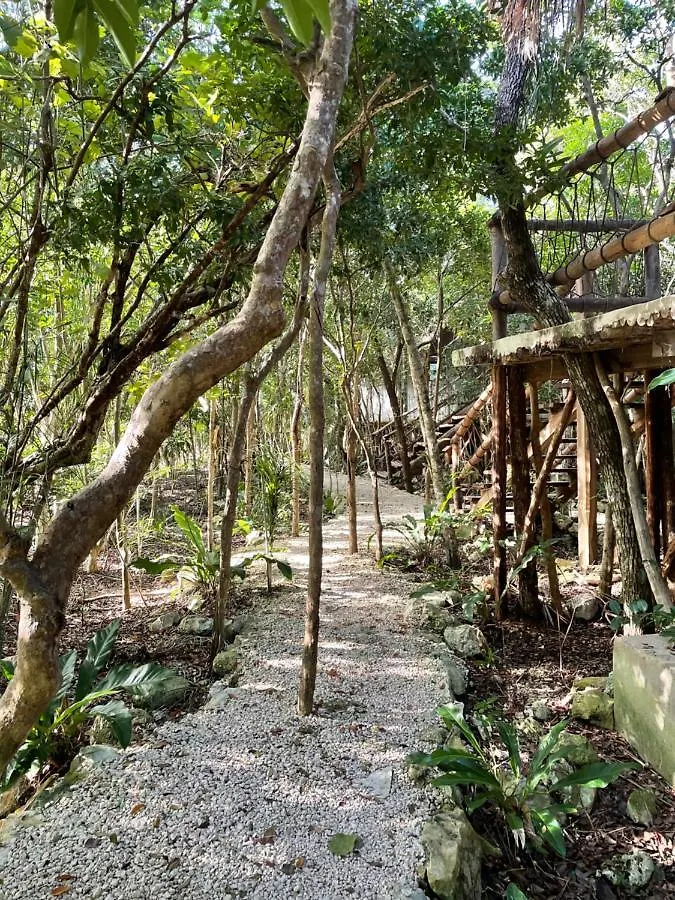Hotel Roc Jungle Tulum