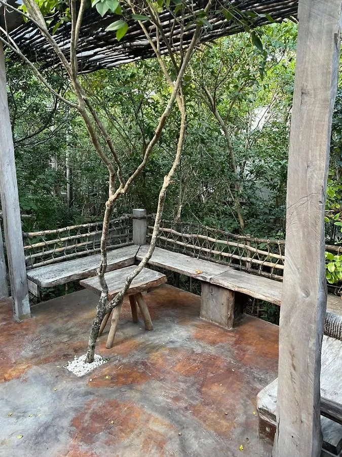 Roc Jungle Tulum Hotel Mexico