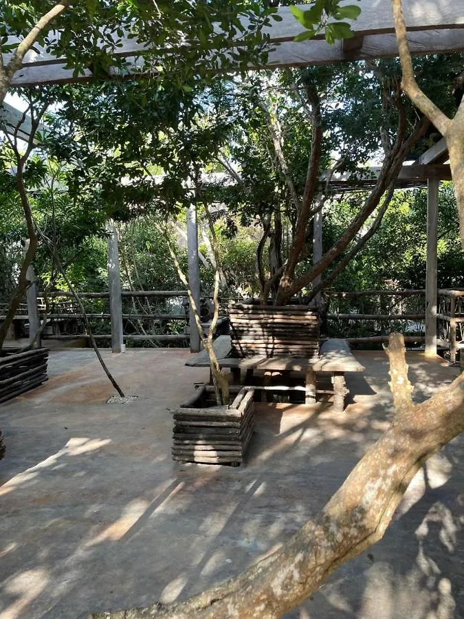 Roc Jungle Tulum Hotel 4*,  Mexico