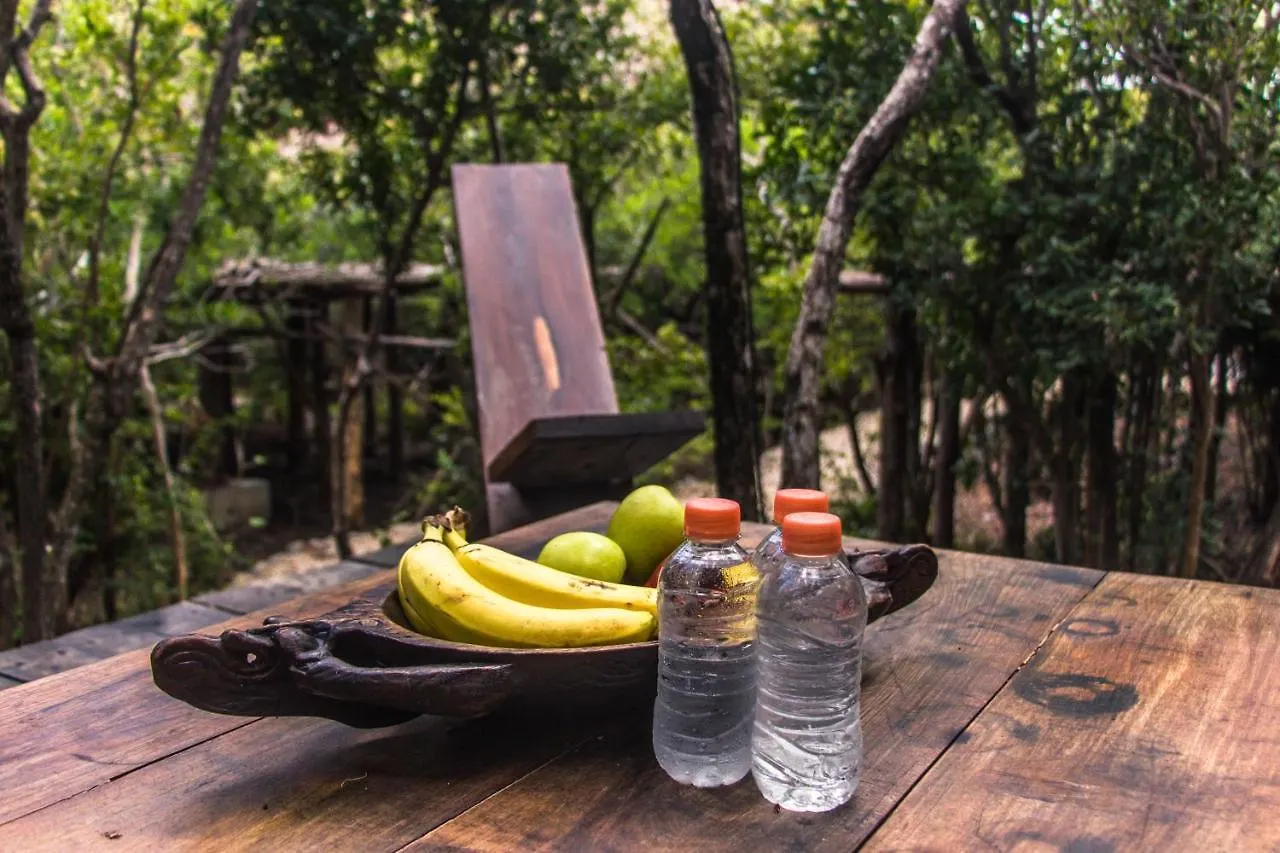 ****  Hotel Roc Jungle Tulum Mexique