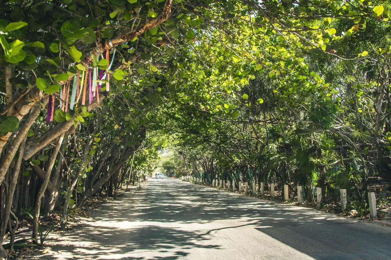 Hotel Roc Jungle Tulum