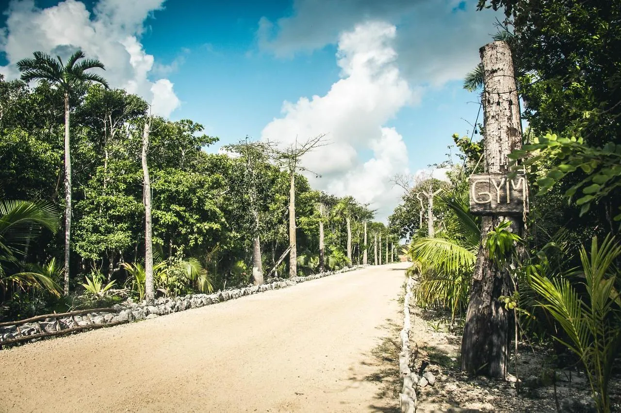 Hotel Roc Jungle Tulum 4*,