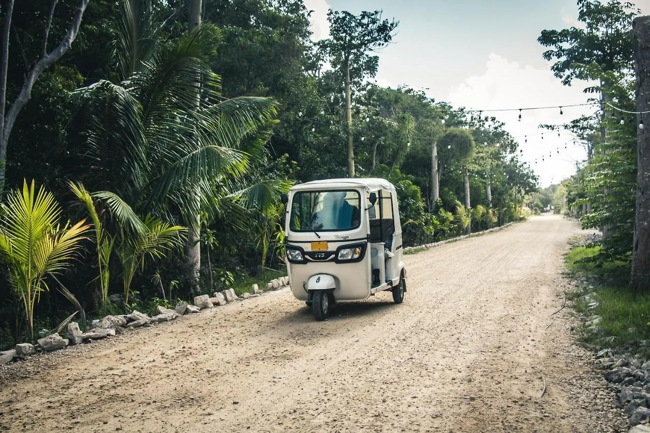 Hotel Roc Jungle Tulum